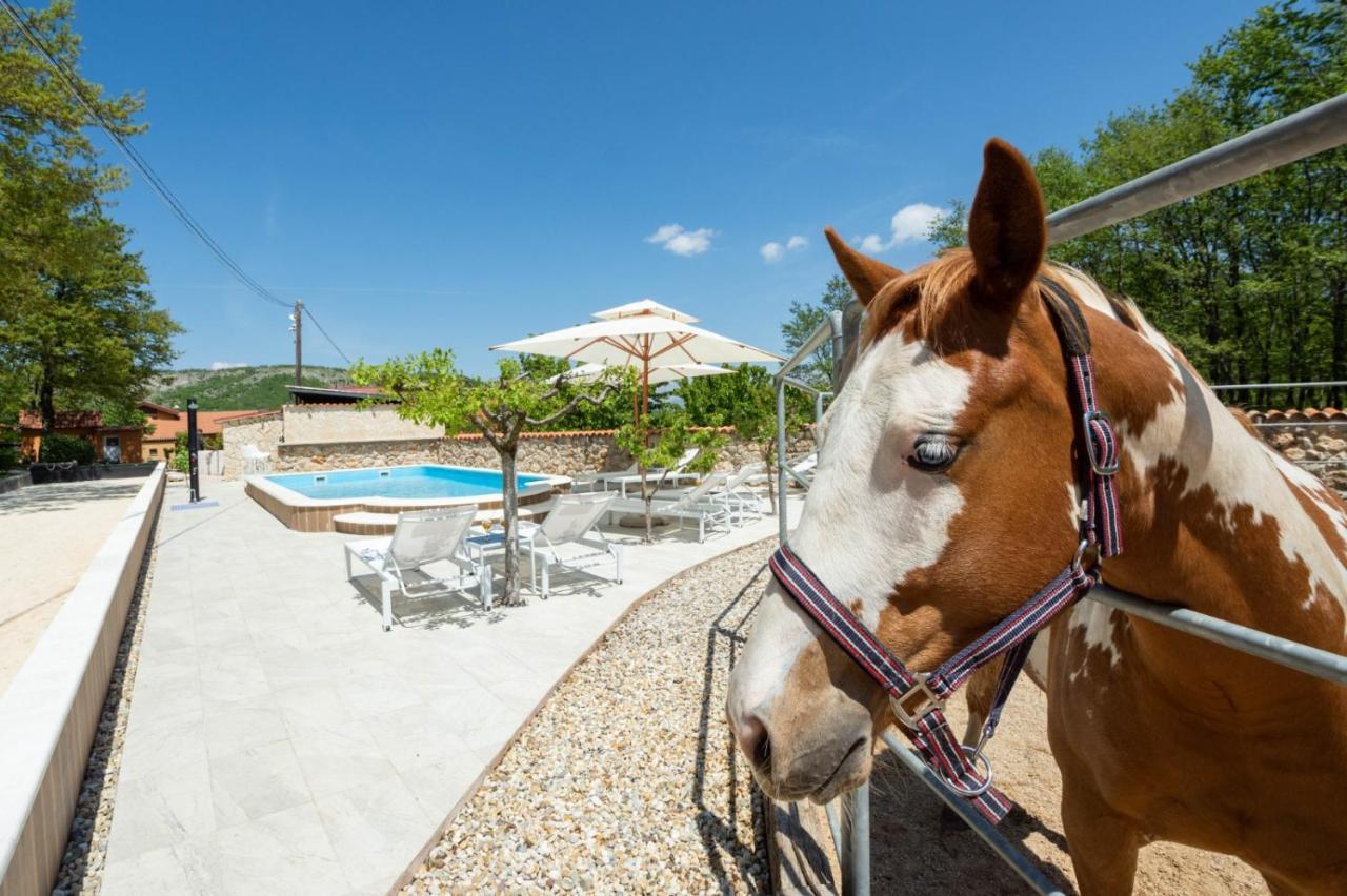Holiday Home With Swimming Pool, Donkeys And Horses Vrlika 外观 照片